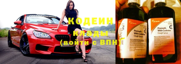 mix Инта