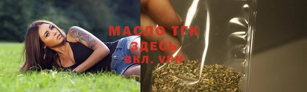 mix Инта