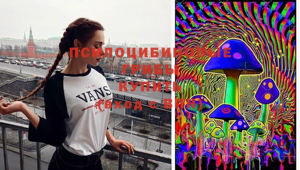 каннабис Покачи