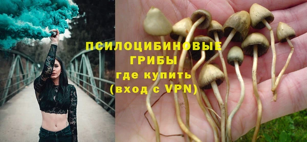 прущая мука Иннополис