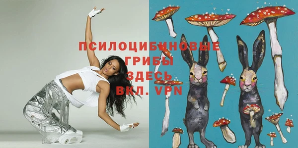 дмт Покров