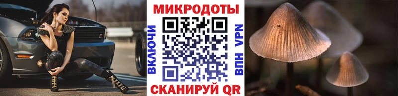 закладки  Малоархангельск  Галлюциногенные грибы Cubensis 